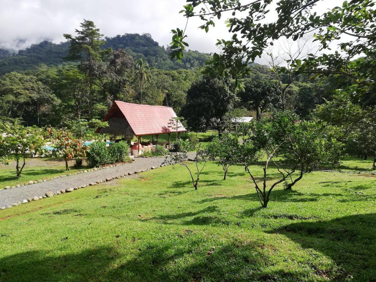 Hacienda Mil Bellezas - Private 40Ha Jungle Reserve 奎波斯城 外观 照片