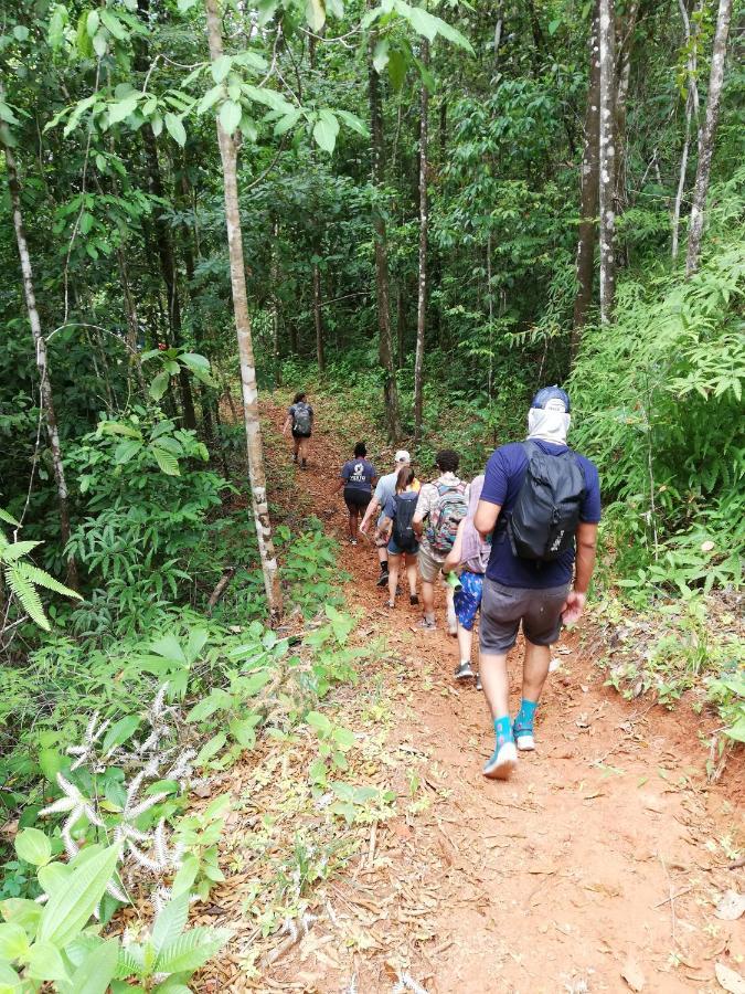 Hacienda Mil Bellezas - Private 40Ha Jungle Reserve 奎波斯城 外观 照片