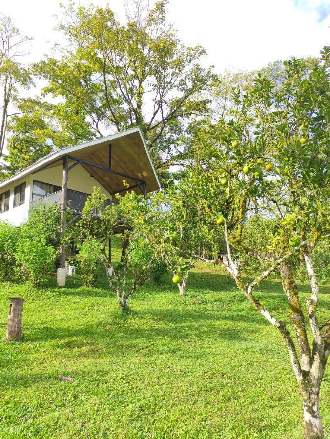 Hacienda Mil Bellezas - Private 40Ha Jungle Reserve 奎波斯城 客房 照片