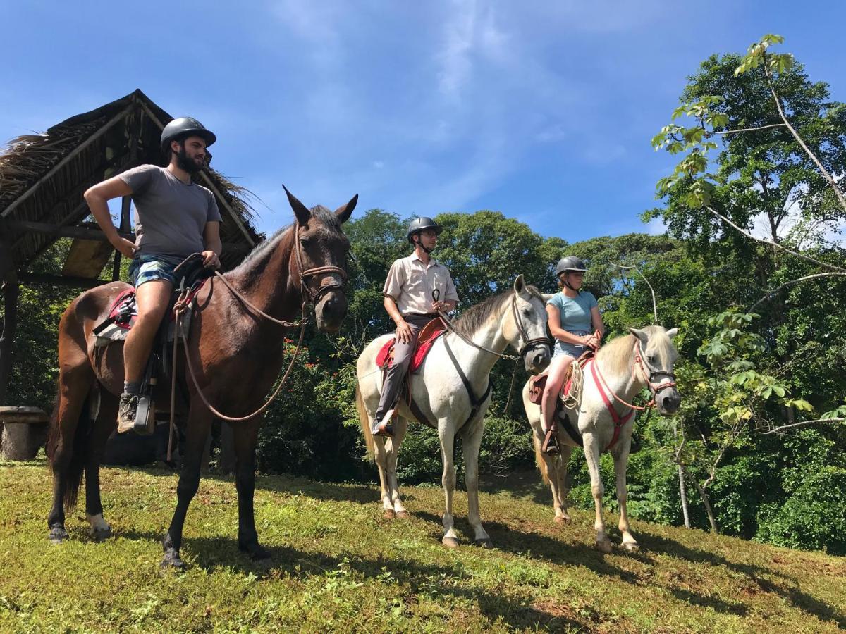 Hacienda Mil Bellezas - Private 40Ha Jungle Reserve 奎波斯城 外观 照片