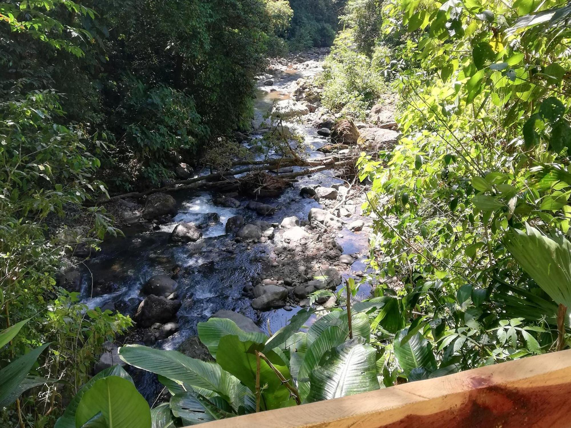 Hacienda Mil Bellezas - Private 40Ha Jungle Reserve 奎波斯城 外观 照片
