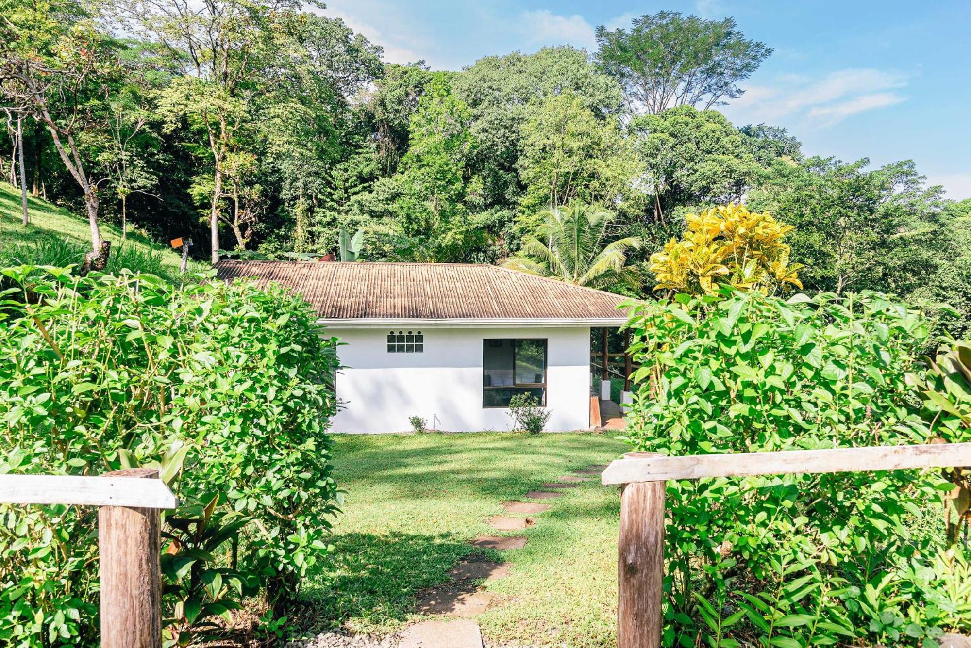 Hacienda Mil Bellezas - Private 40Ha Jungle Reserve 奎波斯城 客房 照片