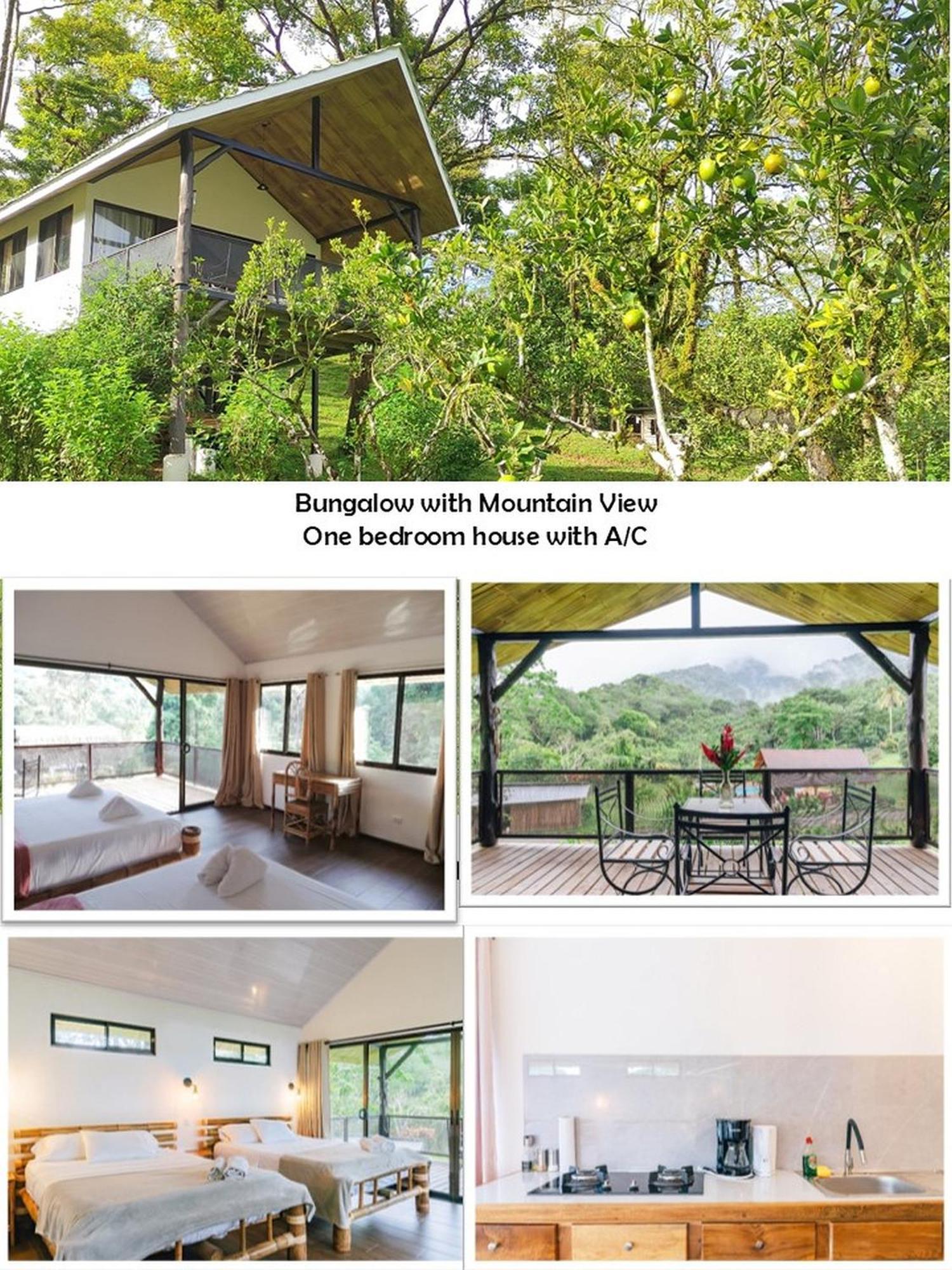 Hacienda Mil Bellezas - Private 40Ha Jungle Reserve 奎波斯城 外观 照片