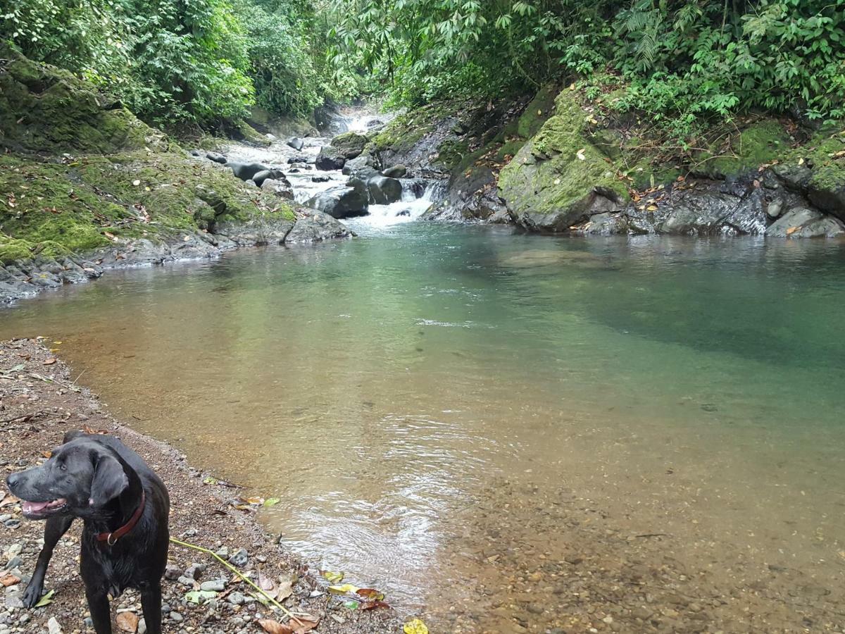 Hacienda Mil Bellezas - Private 40Ha Jungle Reserve 奎波斯城 外观 照片