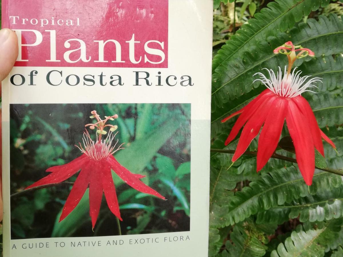 Hacienda Mil Bellezas - Private 40Ha Jungle Reserve 奎波斯城 外观 照片