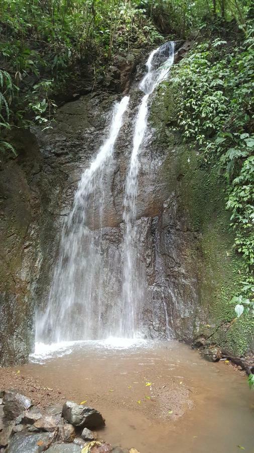 Hacienda Mil Bellezas - Private 40Ha Jungle Reserve 奎波斯城 外观 照片