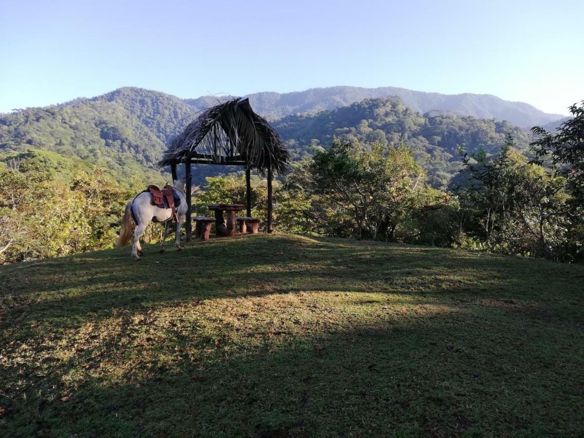 Hacienda Mil Bellezas - Private 40Ha Jungle Reserve 奎波斯城 外观 照片