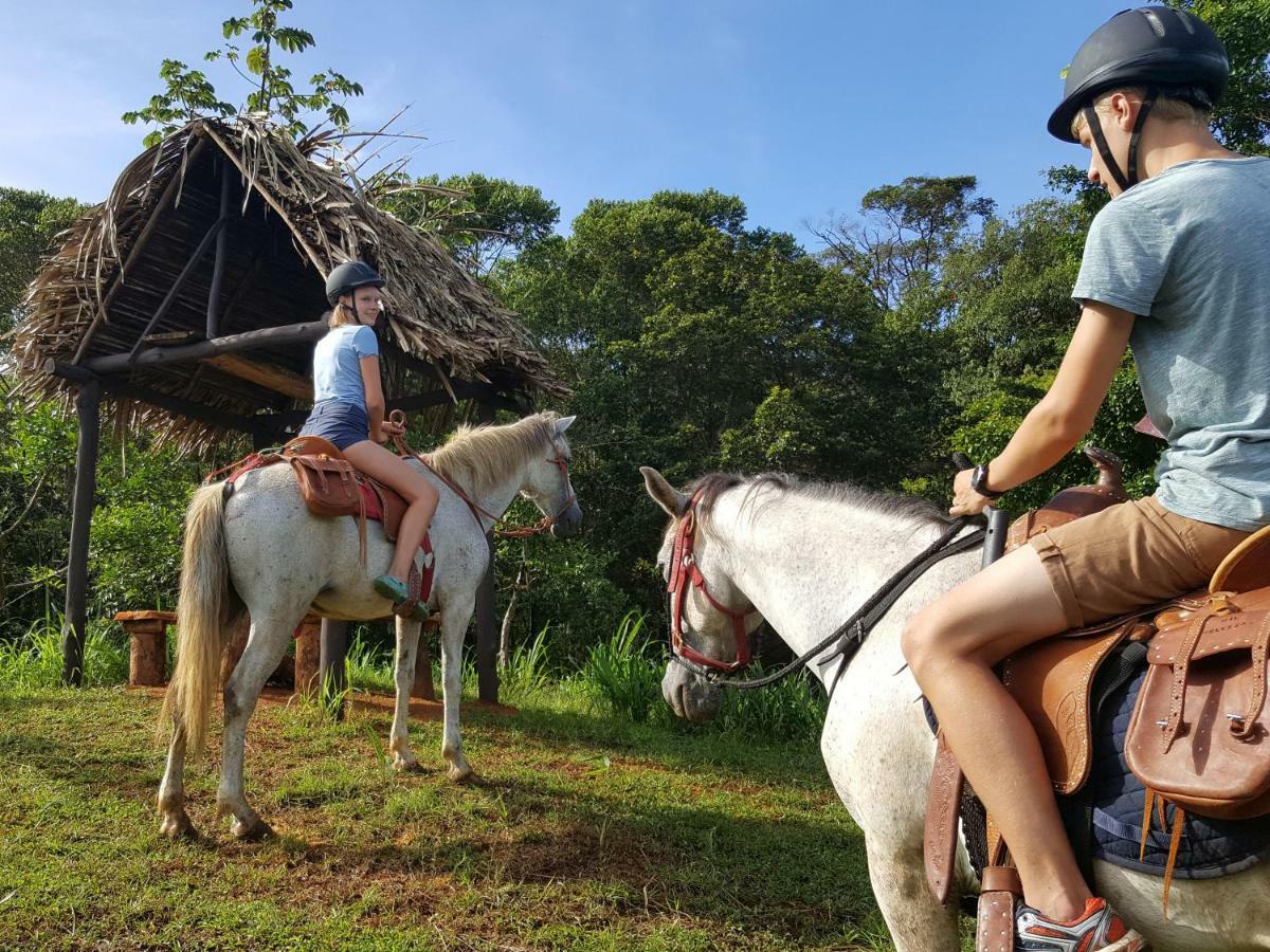 Hacienda Mil Bellezas - Private 40Ha Jungle Reserve 奎波斯城 外观 照片